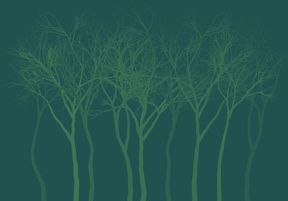 Colourtreeicon copy_edited_edited_edited_edited.jpg