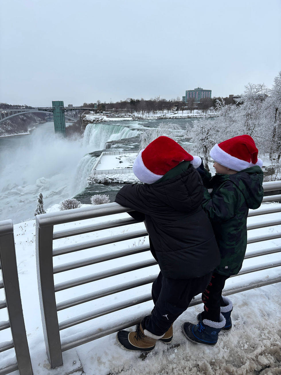 Niagara Falls in Winter. Magical.