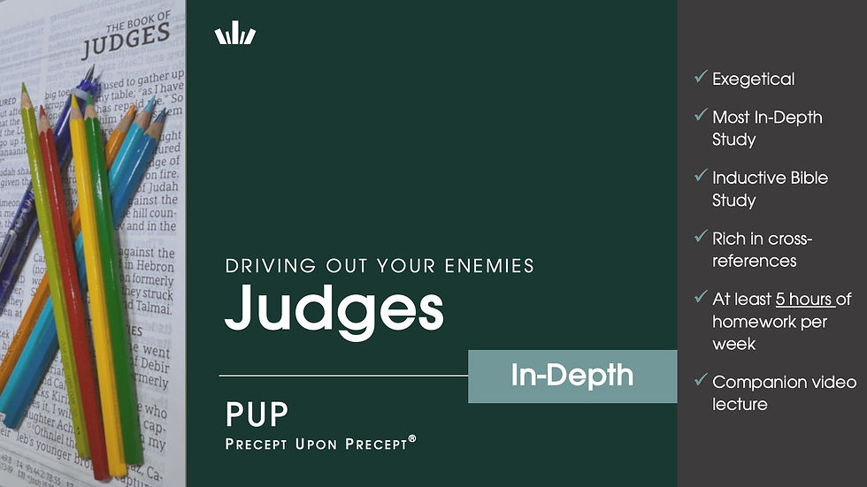 PUP Judges (TH21 Fri 1: 9.00am-10:30am)
