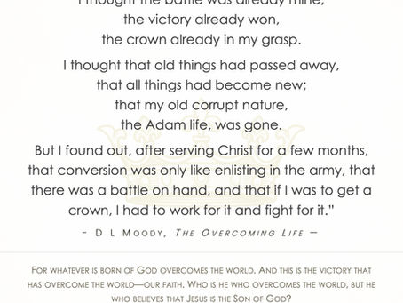 [Almost] Daily Quips