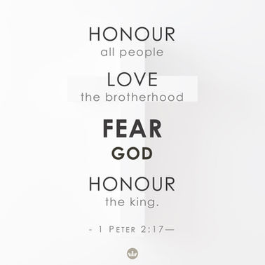 [Almost] Daily Quips