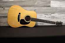 Eastman E6D-TC