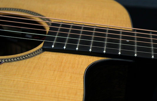 Eastman E1 OMCE-SPECIAL
Guitar-Inn