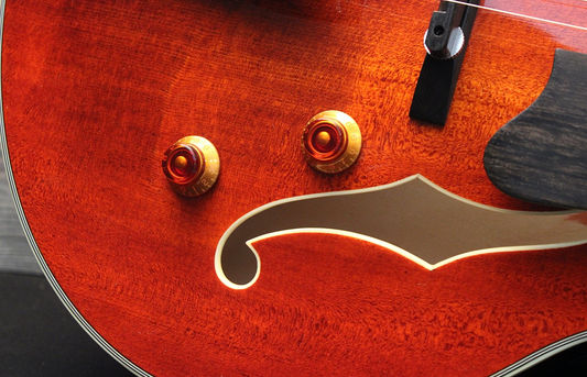 Eastman AR503 CE
Guitar-Inn