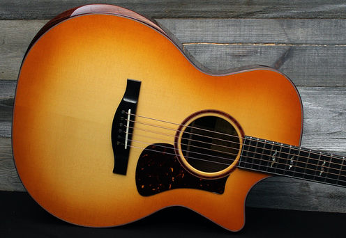 Eastman AC722CE DF
Guitar-Inn