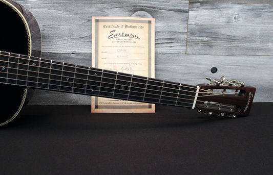 Eastman E20P-SB
Guitar-Inn