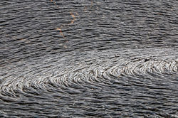 Florian-Specker_20140205_MG_8447