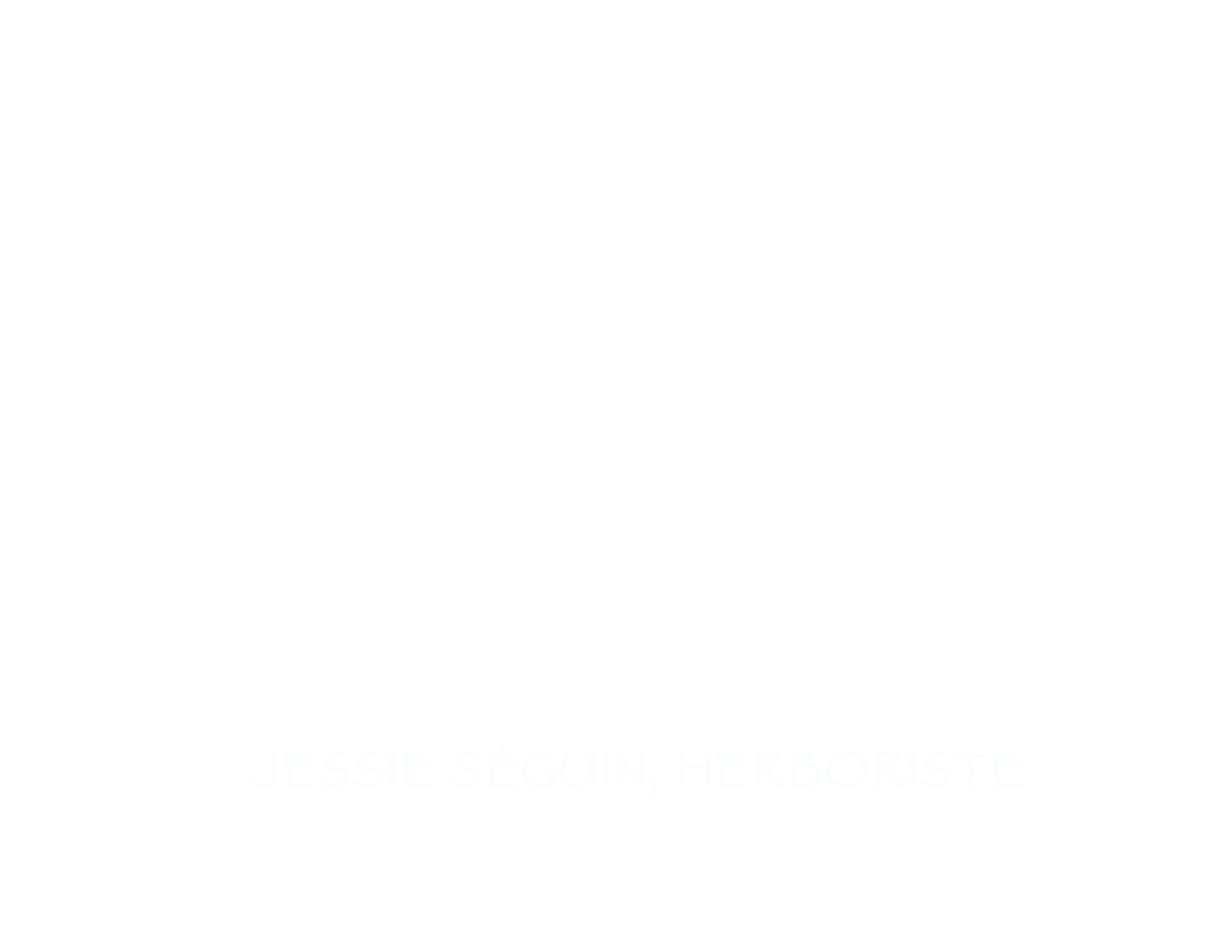 herboristeWHITE.gif