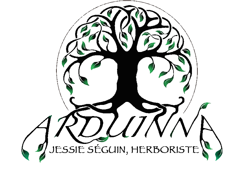 transparent.gif
