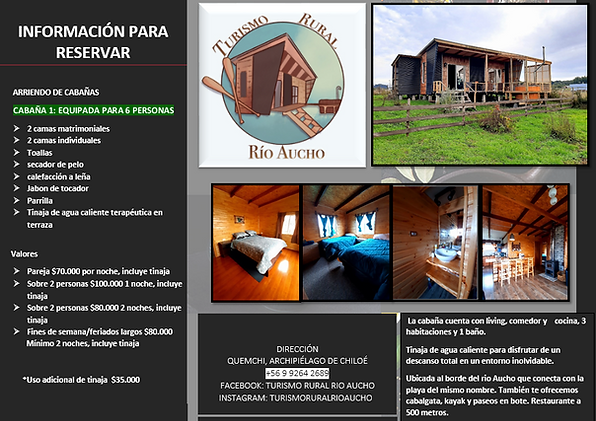 AFICHE.png