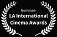 Nominee-LAInternationalCinemaAwards.jpg