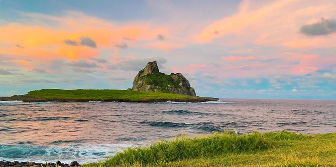 Captura de Tela 2022-08-22 às 16.02.17.png