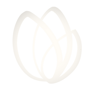 White_Logo_No_Background_edited_edited.p