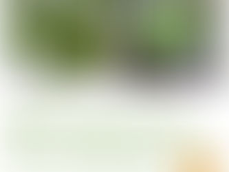 Neem Face Pack for treating acne and blemishes