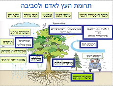 תרומת העצים לאדם ולסביבה.PNG