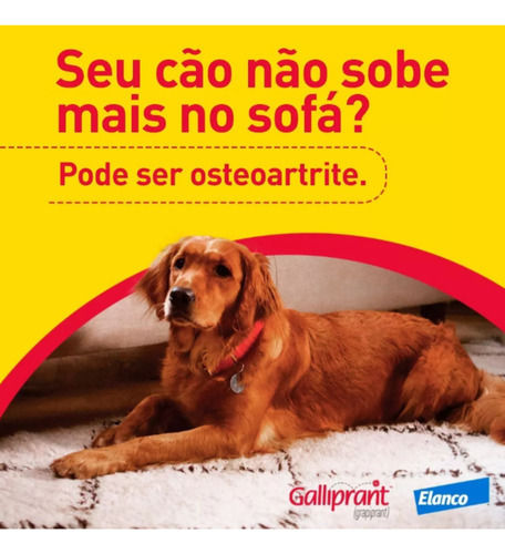 Miniatura: Galliprant 20mg Anti-inflamatório Elanco Cães 30 Comprimidos