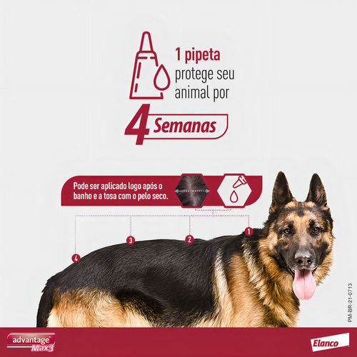Miniatura: Advantage Max3 Cães Até 4kg 1 Pipeta 0,4ml - Antipulgas