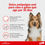 Miniatura: Anti Pulgas Comfortis 1620mg Para Cães De 27 A 54kg Com 2 Cp