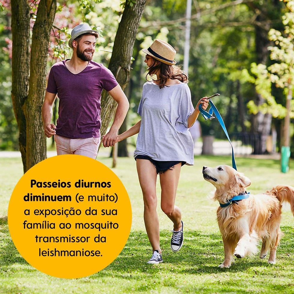 Miniatura: Coleira Scalibor G 65cm Antipulgas Carrapatos E Leishmaniose