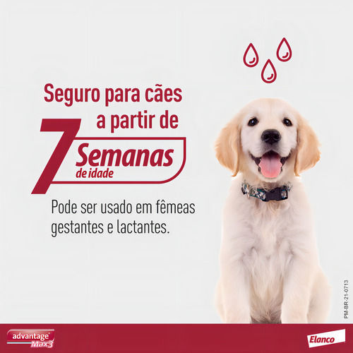 Miniatura: Advantage Max3 Cães Até 4kg 1 Pipeta 0,4ml - Antipulgas