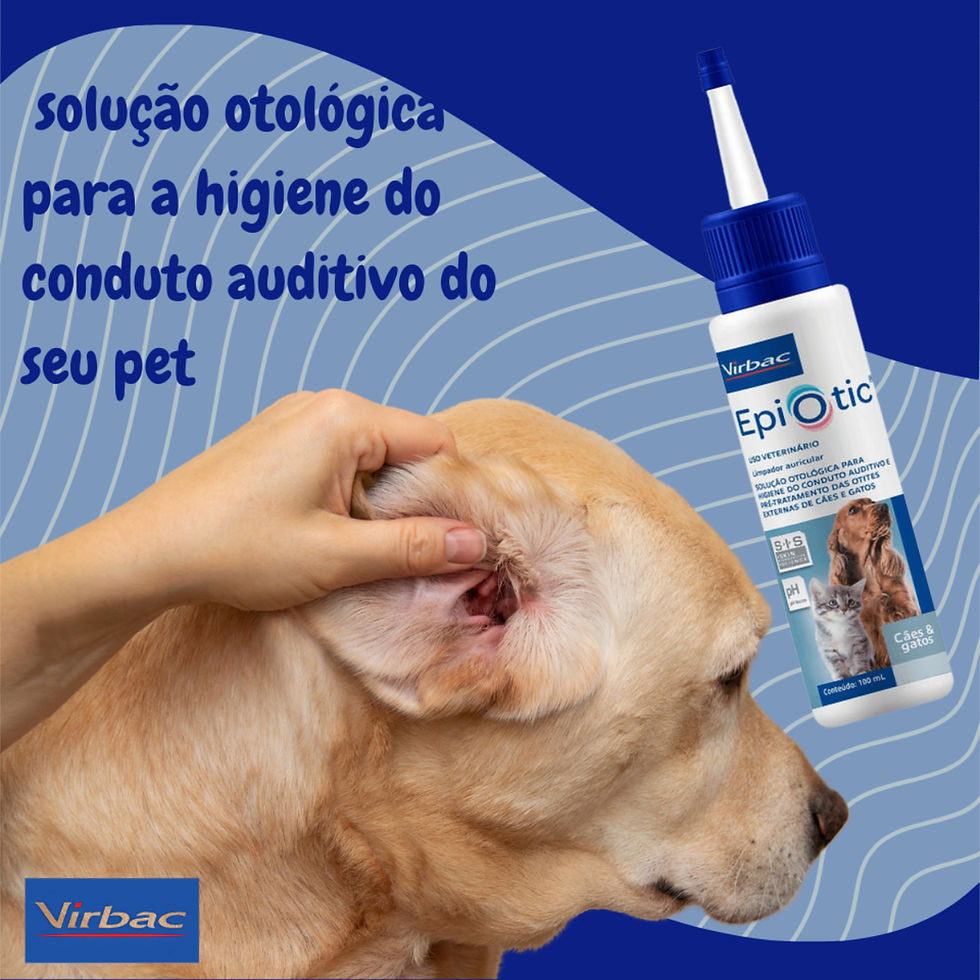 Miniatura: EPIOTIC SIS 100 ML