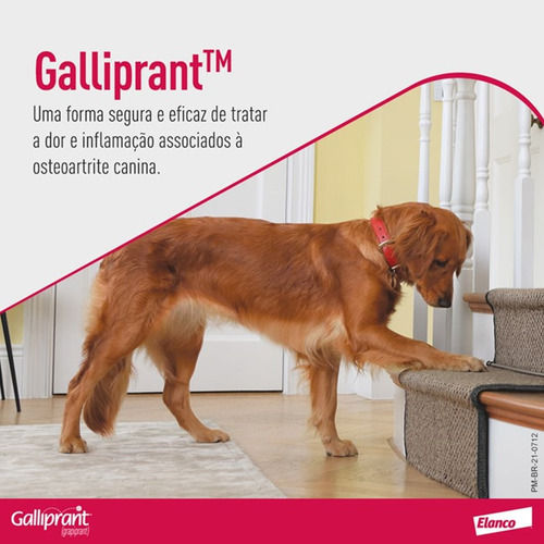 Miniatura: Galliprant 100mg Com 30 Comprimidos Anti-inflamatório