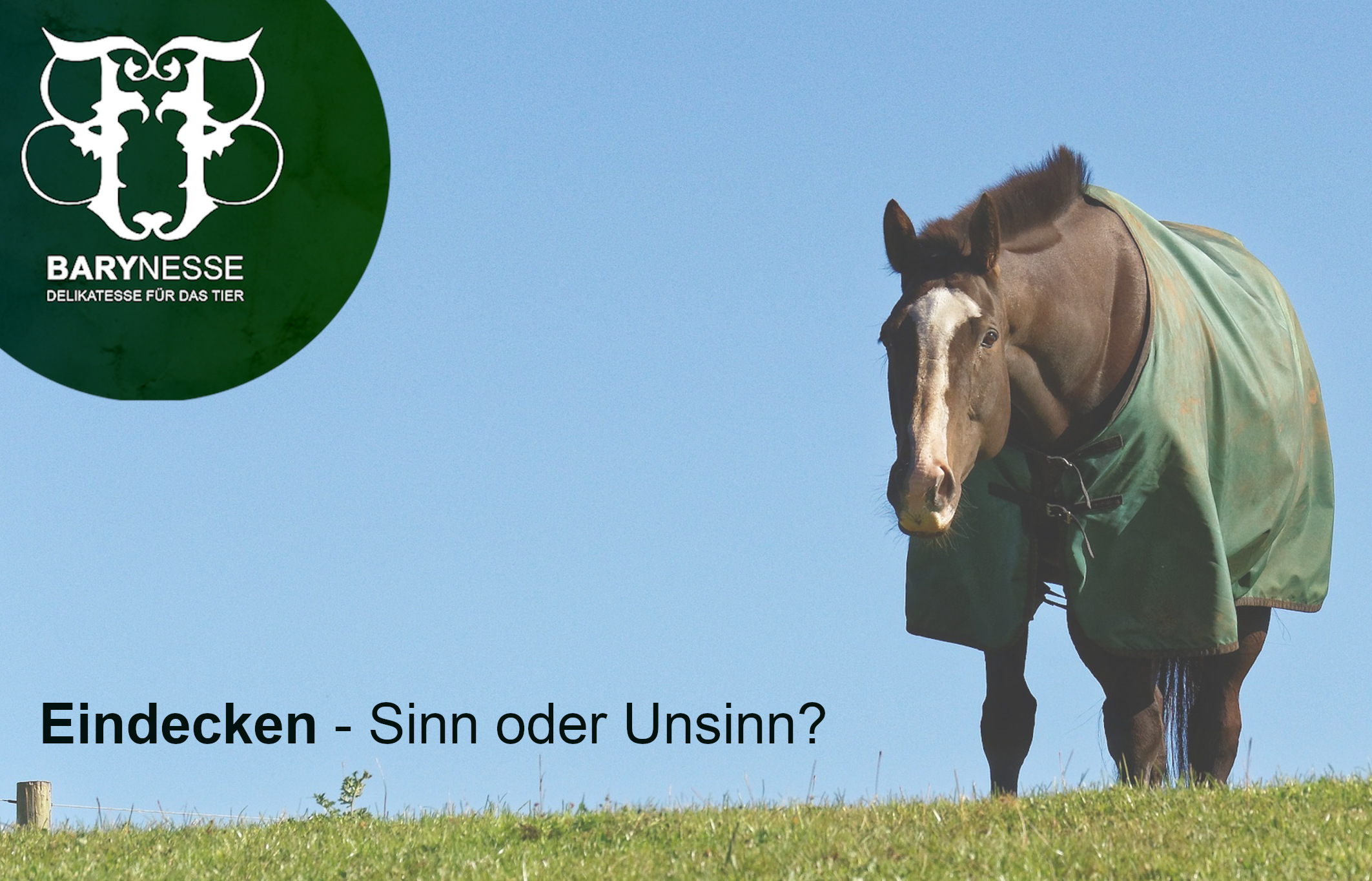 Pferd Eindecken Bei Niedrigen Temperaturen Dieser Artikel Informiert