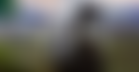 Das Equine Metabolische Syndrom (EMS)