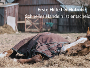 Erste-Hilfe-Maßnahmen bei Hufrehe: Schnelles Handeln ist entscheidend!
