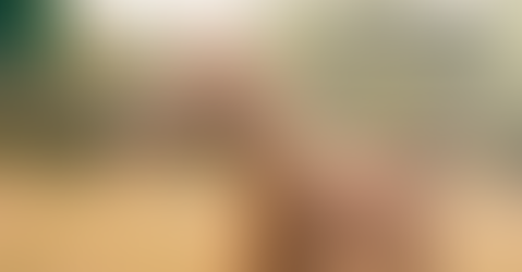 Jetzt beginnen: Unspezifische Desensibilisierung gegen Allergien beim Pferd