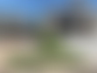 Flip Your Strip to Artificial Grass, Not Rocks and Plants