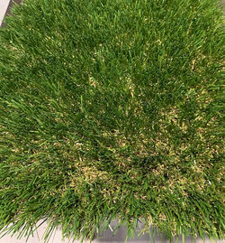 2 inch artificial grass