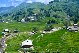 Fields in Sapa Vietnam