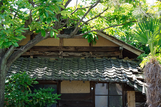 AdobeStock_153916752.jpeg