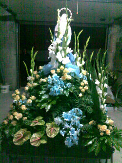 29052010130