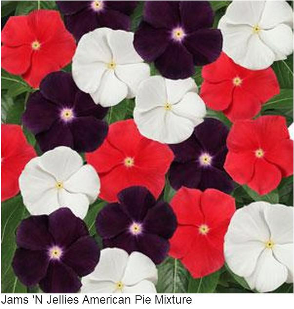 Vinca Jam's N Jellies American Pie Mix