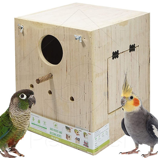 Breeding Box Bird Nest with Perch for Cockatiel Bird Standard