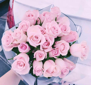 The life if Petals are just like Human