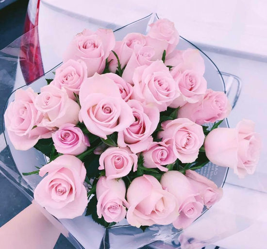 The life if Petals are just like Human