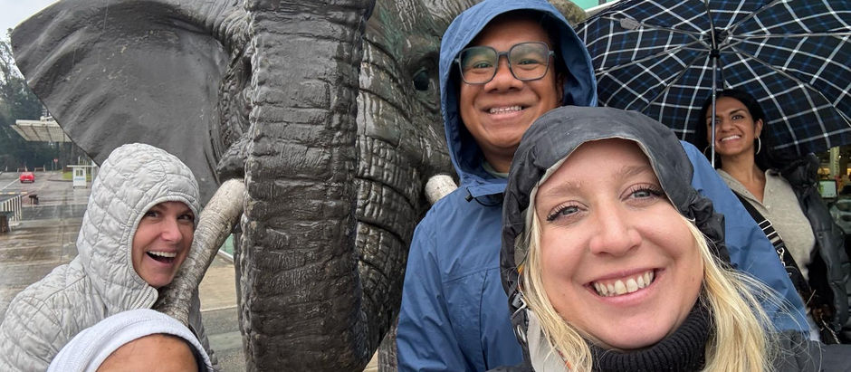 Day 6 in Rivera: A Rainy Day Pivot to Duty-Free Delights and Teacher House Comforts