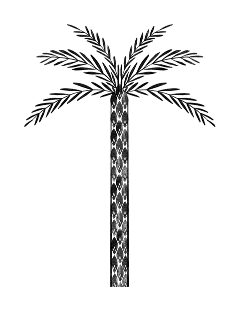 identité visuelle villa hegra Al-ula illustration botanique integral designers