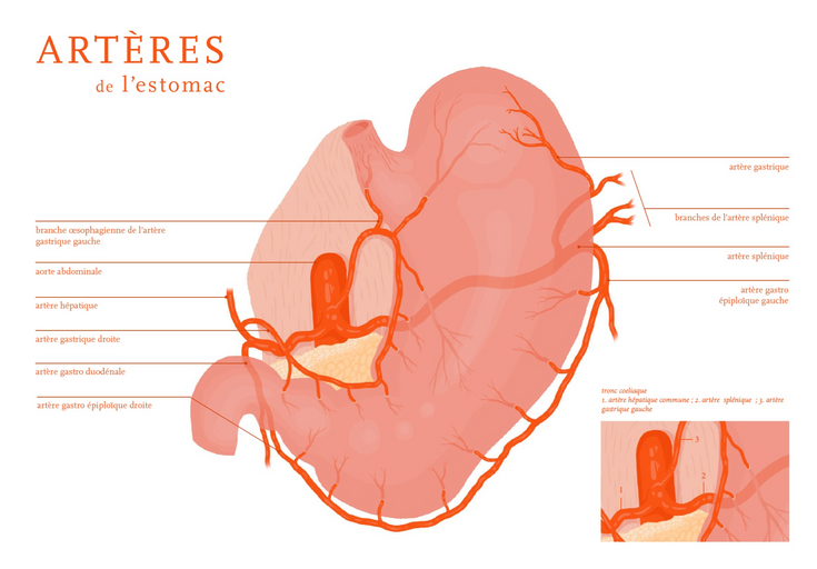 Capture d’écran 2018-12-07 à 18_edited.png