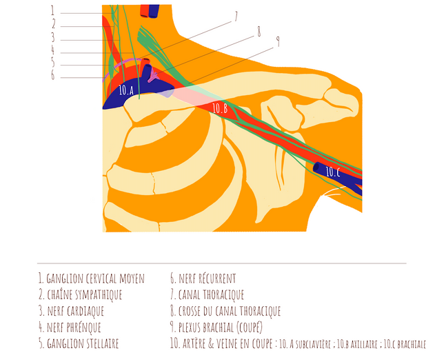 Capture d’écran 2023-04-13 à 12.56.21.png
