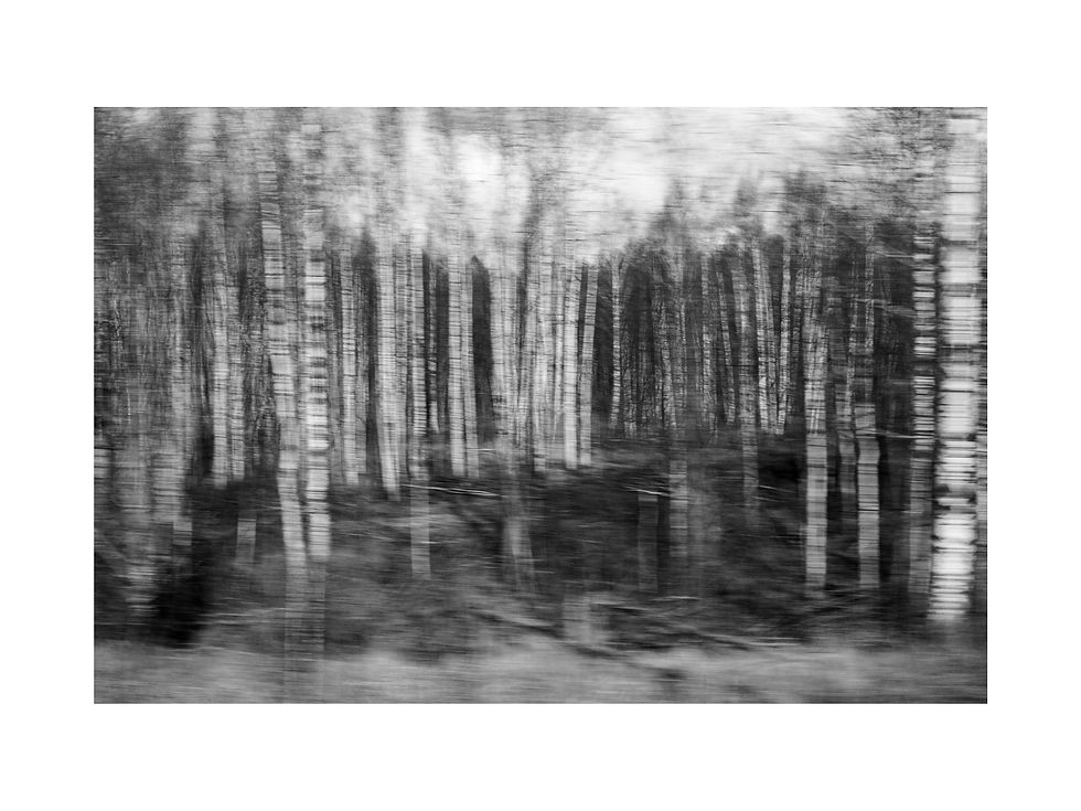 "Parallax" Anna Matveeva - Vernissage