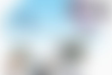 Tesoros, Inflación y Powell