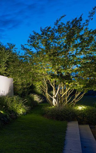 Landscape and garden lighting illuminating trees, plants, and outdoor spaces