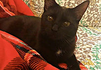 47398290_10216099223905379_4132572632623