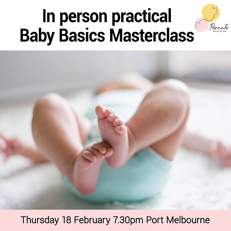 Baby Basics Masterclass February 2027