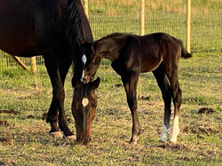 295819925_10100107614787782_1038385103801515188_n