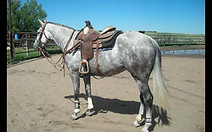 13161459_10209943458290917_790559964_o.j